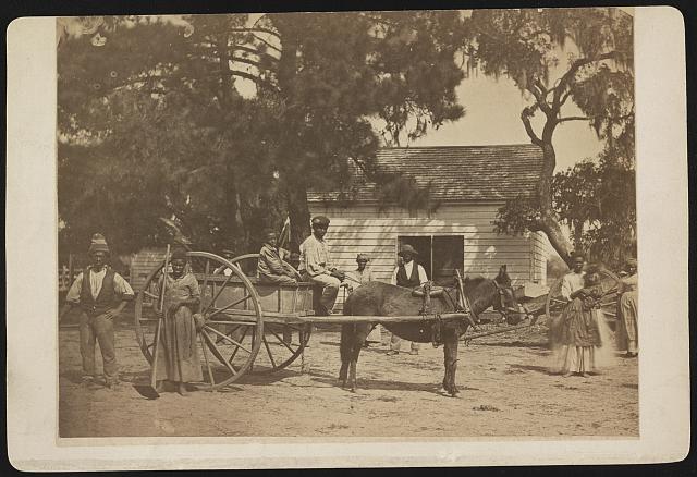 A group of African American slaves posed around a horse-drawn cart, with a building in the background, at the Cassina Point plantation of James Hopkinson on Edisto Island, South Carolina.