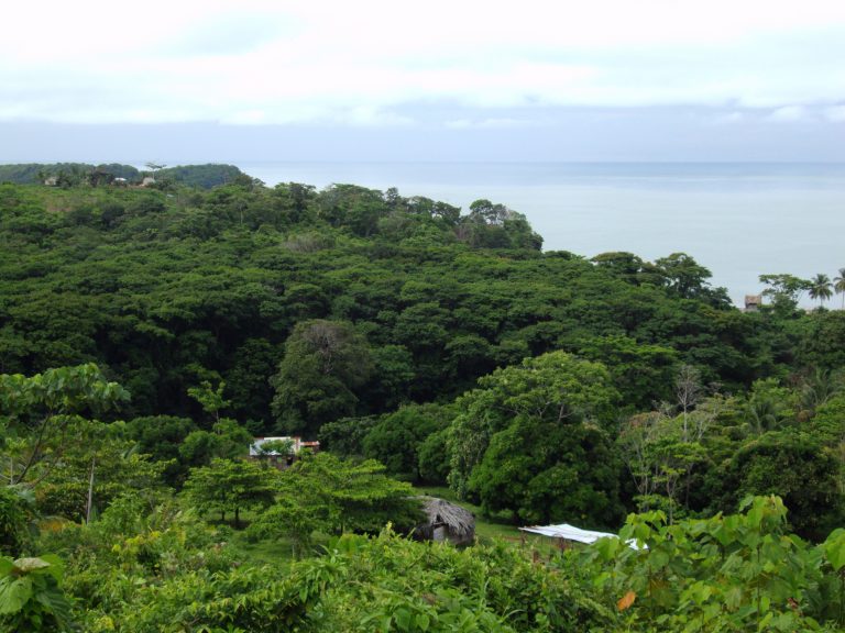 Black Land Ownership and Megaproject Development in Nicaragua AAIHS