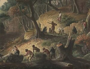 Free Black Community in Sixteenth Century Panama: An Interview with Robert Schwaller