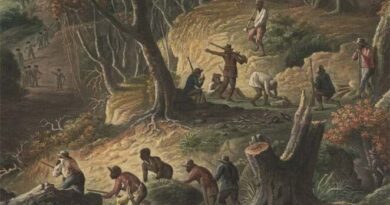 Free Black Community in Sixteenth Century Panama: An Interview with Robert Schwaller