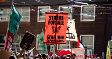 The Meanings and Significance of Black Internationalism