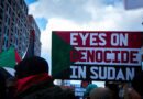 Race-Making Across Borders: How Sudan Challenges the Study of Race