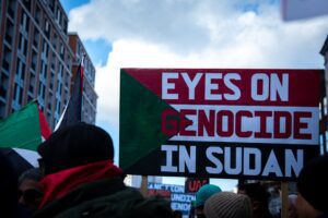 Race-Making Across Borders: How Sudan Challenges the Study of Race