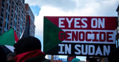 Race-Making Across Borders: How Sudan Challenges the Study of Race